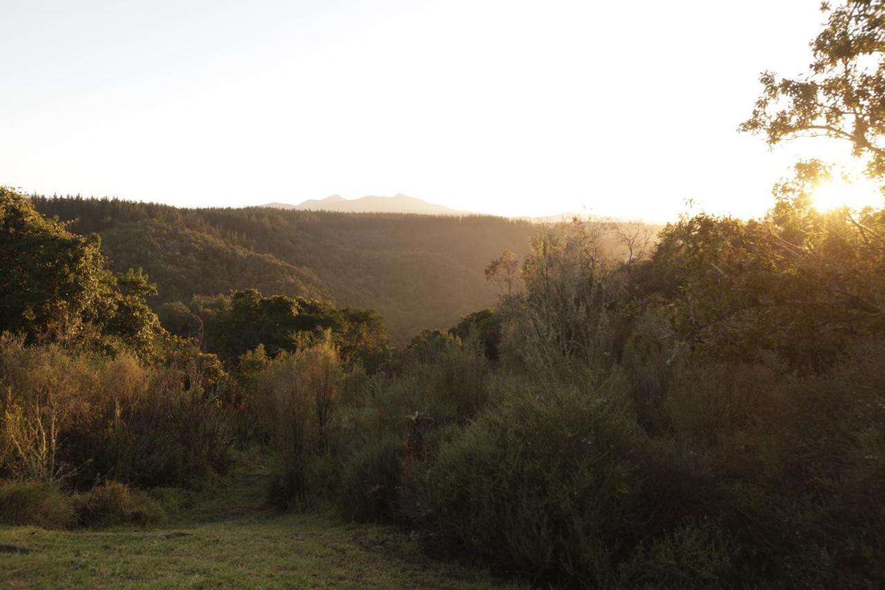 Forest Hills Knysna Dış mekan fotoğraf