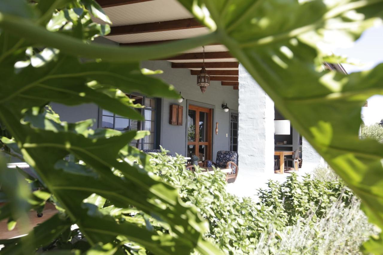 Forest Hills Knysna Dış mekan fotoğraf