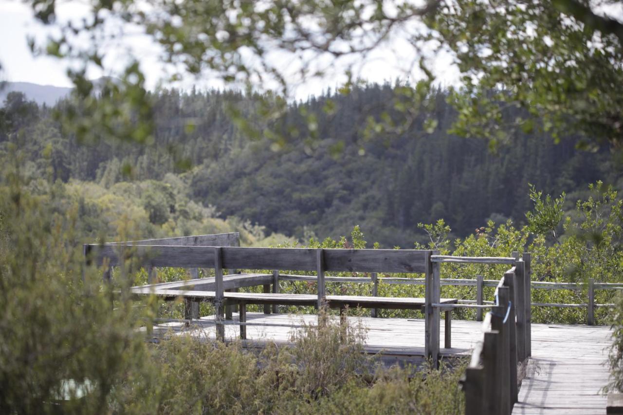 Forest Hills Knysna Dış mekan fotoğraf
