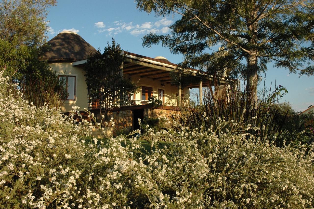 Forest Hills Knysna Dış mekan fotoğraf